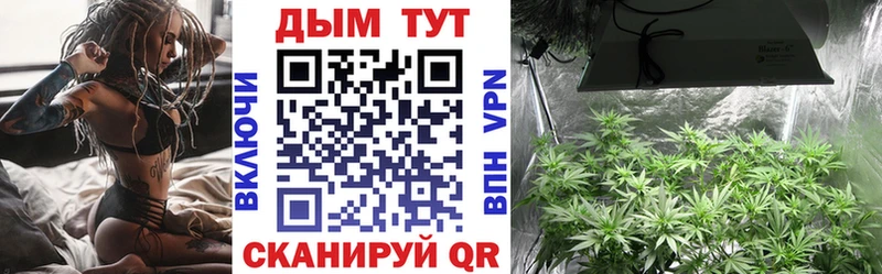 Каннабис VHQ Чебоксары